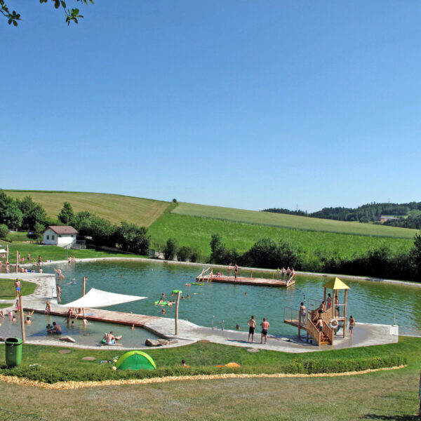 Ein Schwimmteich im Freien mit Menschen, die schwimmen, sich sonnen und spielen; umgeben von Wiesen und Bäumen unter einem klaren blauen Himmel.