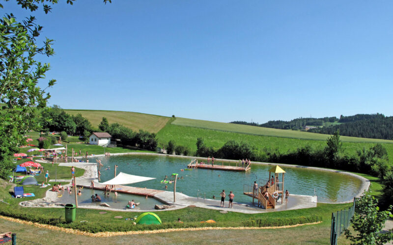 Ein Schwimmteich im Freien mit Menschen, die schwimmen, sich sonnen und spielen; umgeben von Wiesen und Bäumen unter einem klaren blauen Himmel.