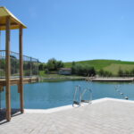 Ein Schwimmteich mit einer Metallleiter, einem hölzernen Spielgerät, einem Steg und einem kleinen Gebäude, eingebettet in grasbewachsene Hügel unter einem klaren blauen Himmel.