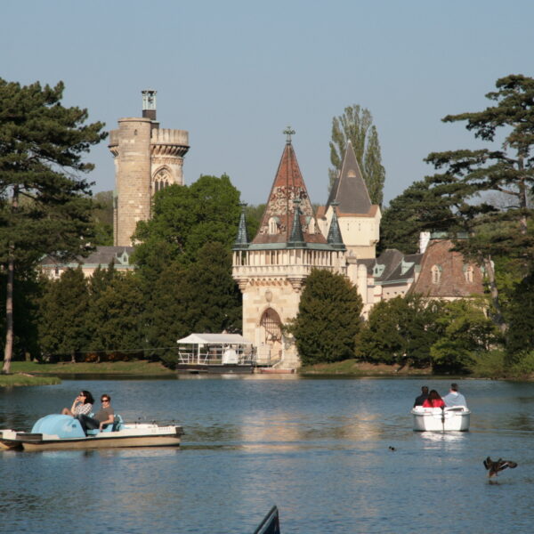 Tretbootfahrer auf einem ruhigen See mit einem historischen schlossähnlichen Gebäude und hohen Bäumen im Hintergrund unter einem klaren Himmel.