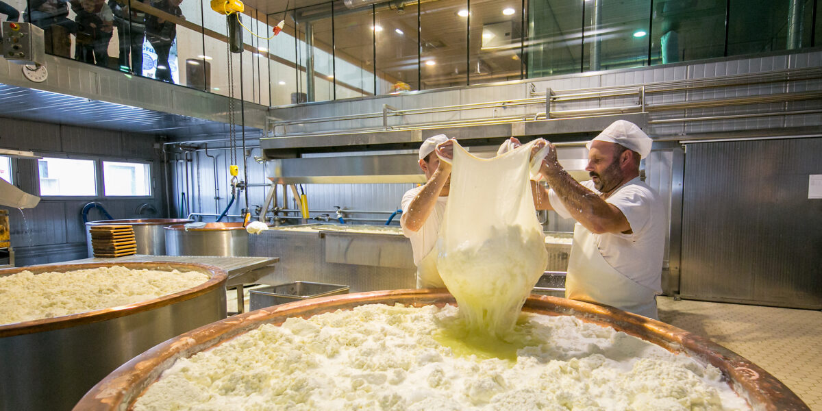 Zwei Arbeiter in einer Käsefabrik dehnen den Käsebruch in einem großen Bottich aus. Im Hintergrund sind Industrieanlagen und ein Beobachtungsraum zu sehen.