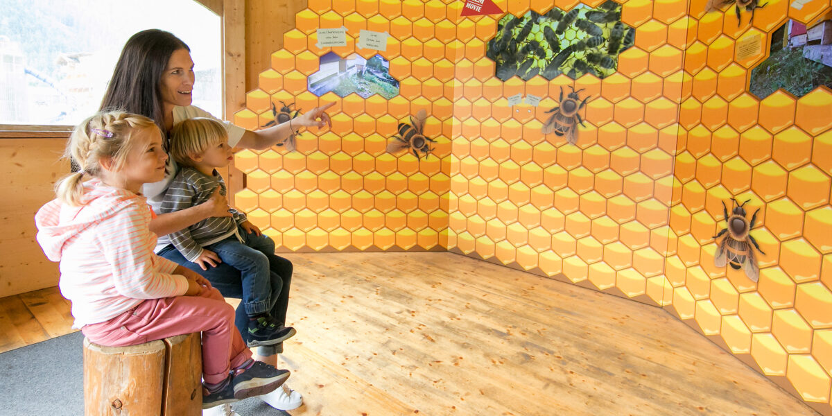 Eine Frau und zwei Kinder sitzen auf einem Holzstumpf und schauen auf eine Wand, die mit einem Wabenmuster, Bienenbildern und Informationsdisplays verziert ist, und zeigen auf sie.