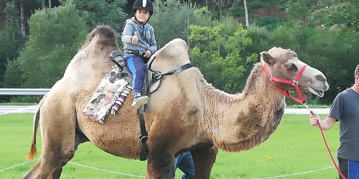Ein kleines Kind mit einem Helm sitzt auf einem Kamel, das von einem Erwachsenen mit einem roten Seil geführt wird; im Hintergrund sind grüne Bäume und Gras zu sehen.
