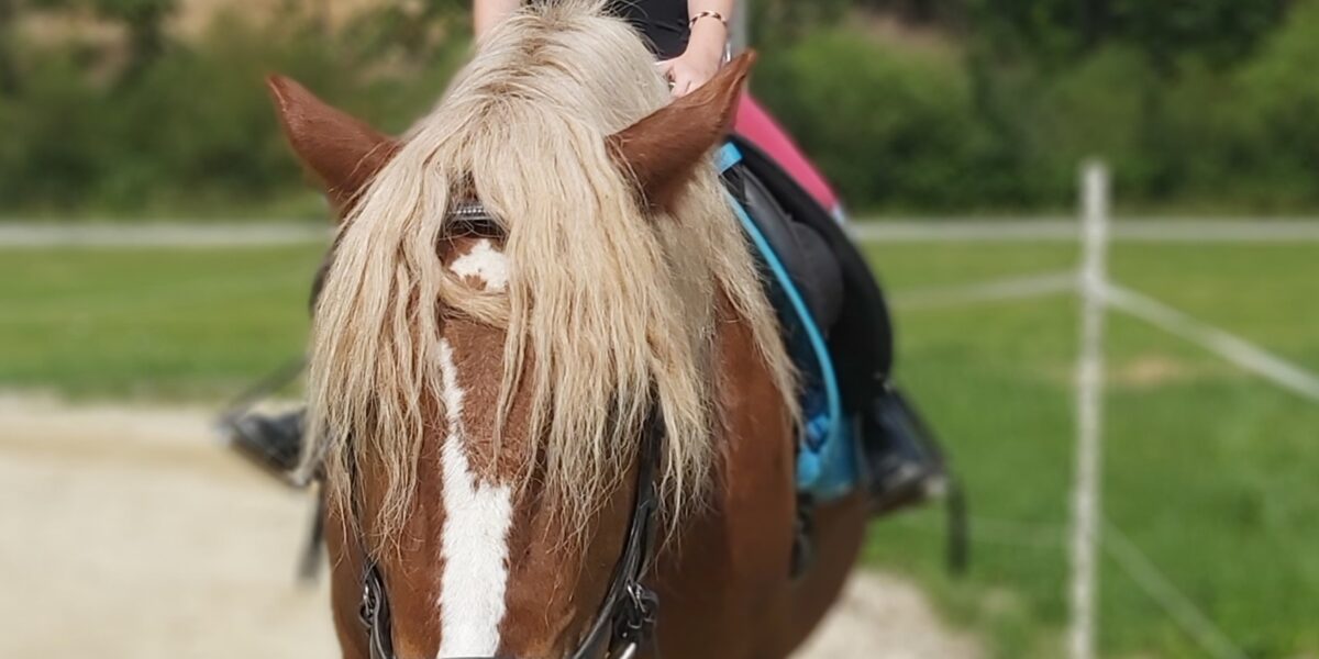 Ein Mädchen mit Helm und Brille sitzt auf einem braunen Pferd mit einer langen, hellen Mähne auf einem Reitplatz im Freien.