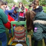 Eine Gruppe von Menschen beobachtet, wie geschnittene Äpfel im Freien in eine hölzerne Apfelweinpresse geschüttet werden, um Apfelwein herzustellen.