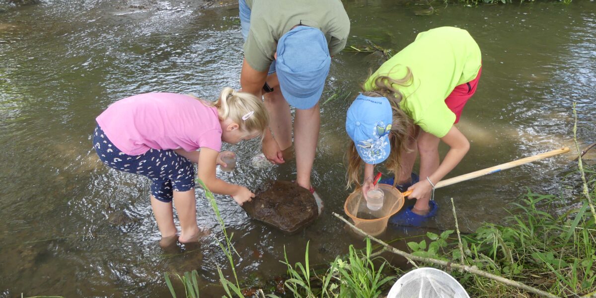 Drei Kinder stehen in einem seichten Bach und untersuchen mit einem Netz, einem Behälter und einem Stock einen Felsen und Wasser, umgeben von Grün.