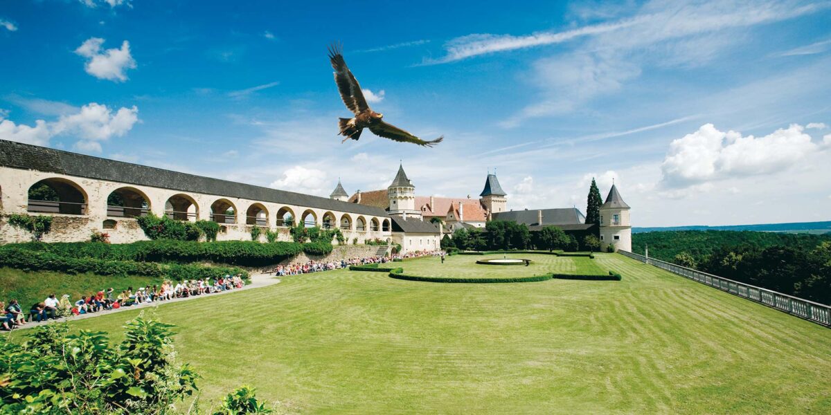 Ein großer Vogel schwebt über einem gepflegten Rasen, der von historischen Steingebäuden und gewölbten Gehwegen unter blauem Himmel umgeben ist.