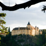 Ein großes, cremefarbenes Schloss mit mehreren Türmen steht auf einem felsigen Hügel, umgeben von Bäumen, die man durch die Äste im Vordergrund sieht.