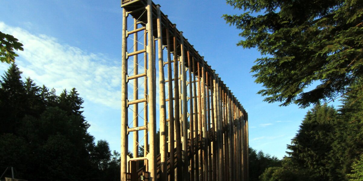 Eine hohe Holzkonstruktion mit Treppe steht unter freiem Himmel, umgeben von Bäumen, unter einem blauen Himmel.
