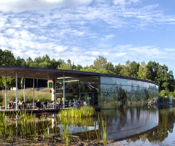 Ein modernes Glasgebäude mit Flachdach liegt neben einem Teich, umgeben von Bäumen und Gras, auf dessen Außenterrasse sich Menschen versammeln.