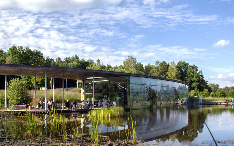 Ein modernes Glasgebäude mit Flachdach liegt neben einem Teich, umgeben von Bäumen und Gras, auf dessen Außenterrasse sich Menschen versammeln.