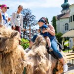 Eine Frau und ein Kind sitzen auf einem Kamel, während mehrere Kinder und Erwachsene in der Nähe in einem Außenbereich mit Tischen und einem großen Gebäude im Hintergrund stehen.