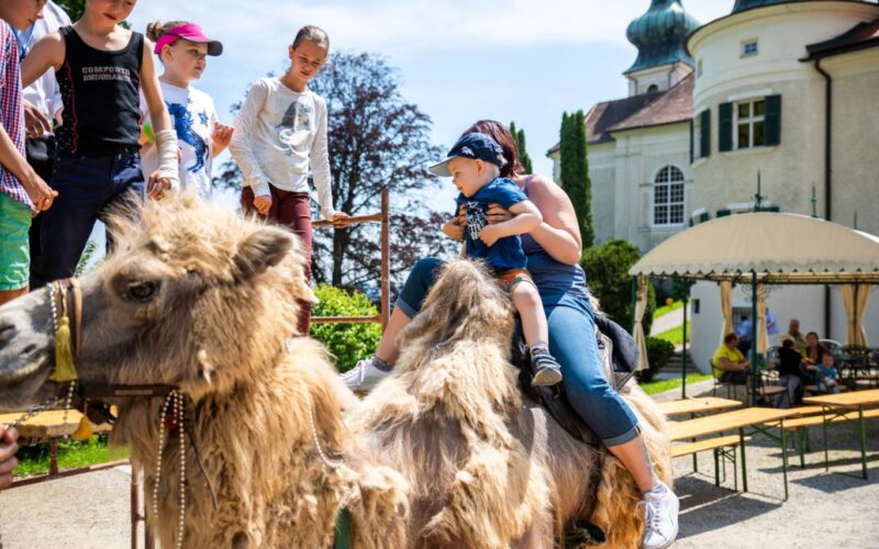 Eine Frau und ein Kind sitzen auf einem Kamel, während mehrere Kinder und Erwachsene in der Nähe in einem Außenbereich mit Tischen und einem großen Gebäude im Hintergrund stehen.