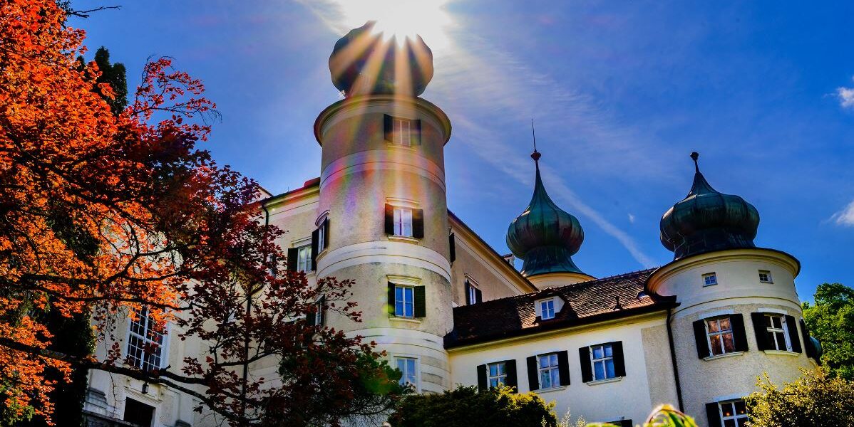 Das Sonnenlicht scheint direkt auf den Turm eines historischen weißen Gebäudes mit grünen Kuppeln, umgeben von Laub und unter einem klaren blauen Himmel.