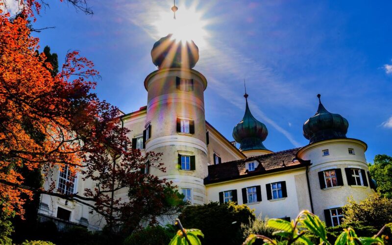 Das Sonnenlicht scheint direkt auf den Turm eines historischen weißen Gebäudes mit grünen Kuppeln, umgeben von Laub und unter einem klaren blauen Himmel.