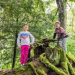 Zwei Kinder stehen auf und neben einem großen moosbewachsenen Baumstumpf mit freiliegenden Wurzeln in einem Waldgebiet.
