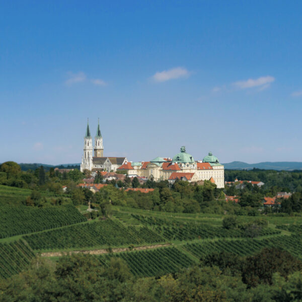 Luftaufnahme eines historischen Klosterkomplexes mit Zwillingstürmen, grünen Kuppeln und umliegenden Weinbergen unter einem klaren blauen Himmel.