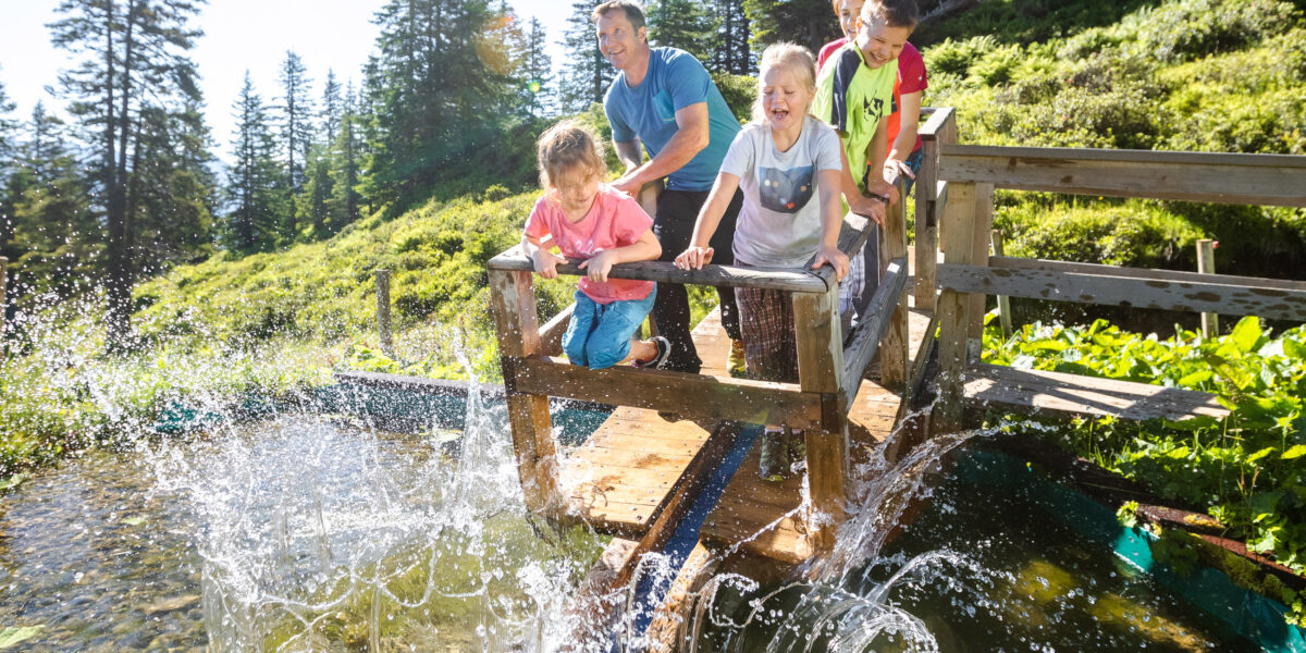 Vier Personen, darunter zwei Kinder, stehen auf einer kleinen Holzbrücke in einem sonnigen Wald, während um sie herum Wasser plätschert und eine lebhafte Szene im Freien entsteht.