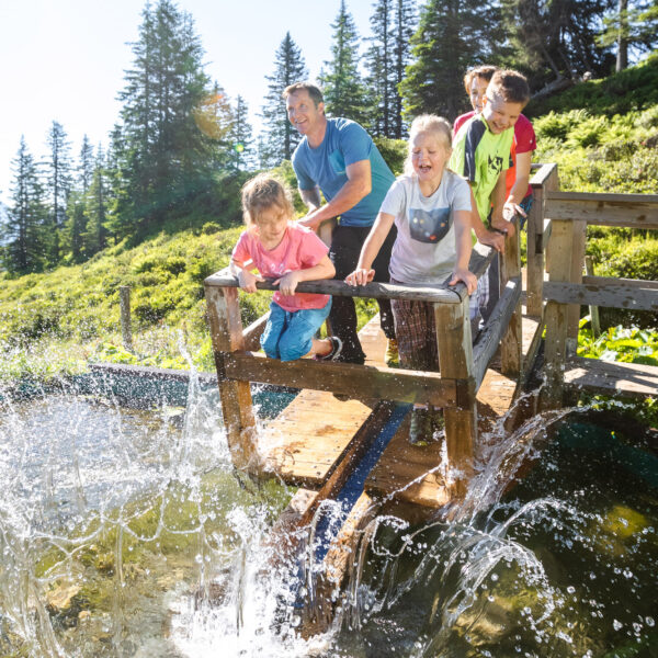 Vier Personen, darunter zwei Kinder, stehen auf einer kleinen Holzbrücke in einem sonnigen Wald, während um sie herum Wasser plätschert und eine lebhafte Szene im Freien entsteht.