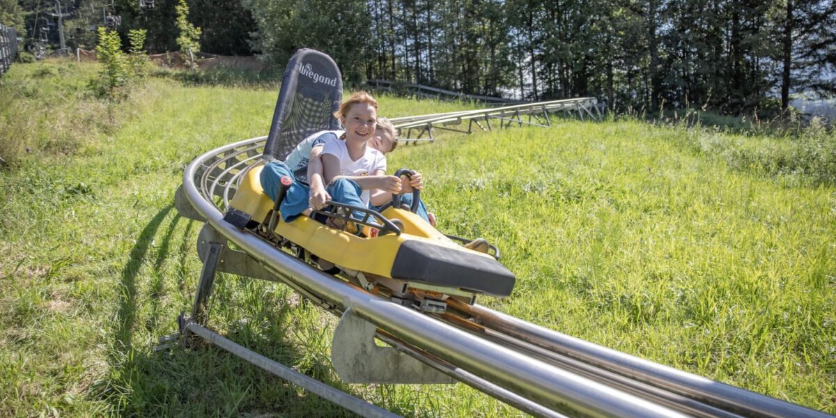 Zwei Personen fahren an einem sonnigen Tag auf einem gelben Alpine Coaster auf Metallschienen durch eine Wiese mit Bäumen im Hintergrund.