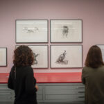 Zwei Personen betrachten gerahmte Tierskizzen, die in einer Galerie oder einem Museum an einer rosafarbenen Wand über einer roten Theke ausgestellt sind.