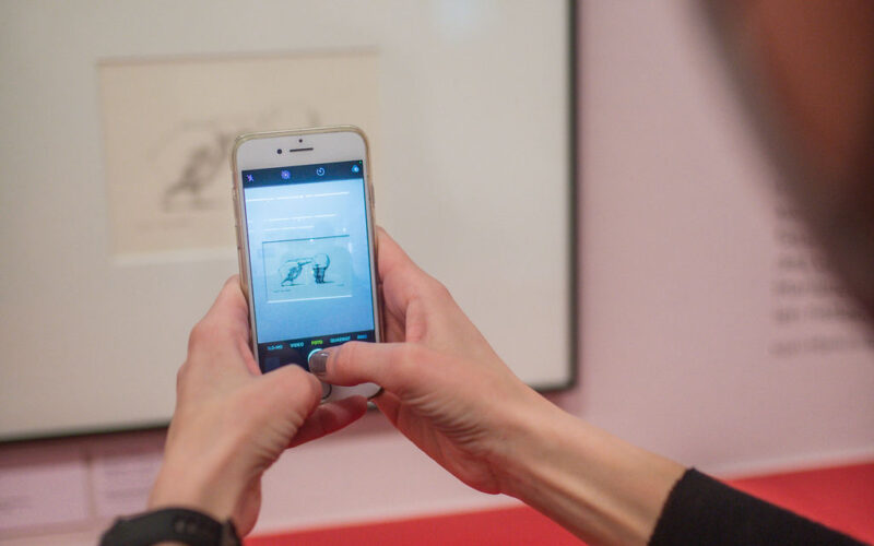 Eine Person macht mit einem Smartphone ein Foto von einem gerahmten Kunstwerk an der Wand. Das Bild auf dem Bildschirm des Telefons entspricht dem fotografierten Kunstwerk.