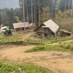 Eine Ansammlung von Holzhütten und Schuppen steht auf einem grasbewachsenen Hügel, umgeben von hohen Bäumen und einem Feldweg, der sich im Vordergrund schlängelt.