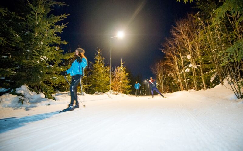 Langläufer auf einer schneebedeckten Loipe bei Nacht unter Straßenbeleuchtung, umgeben von Bäumen.