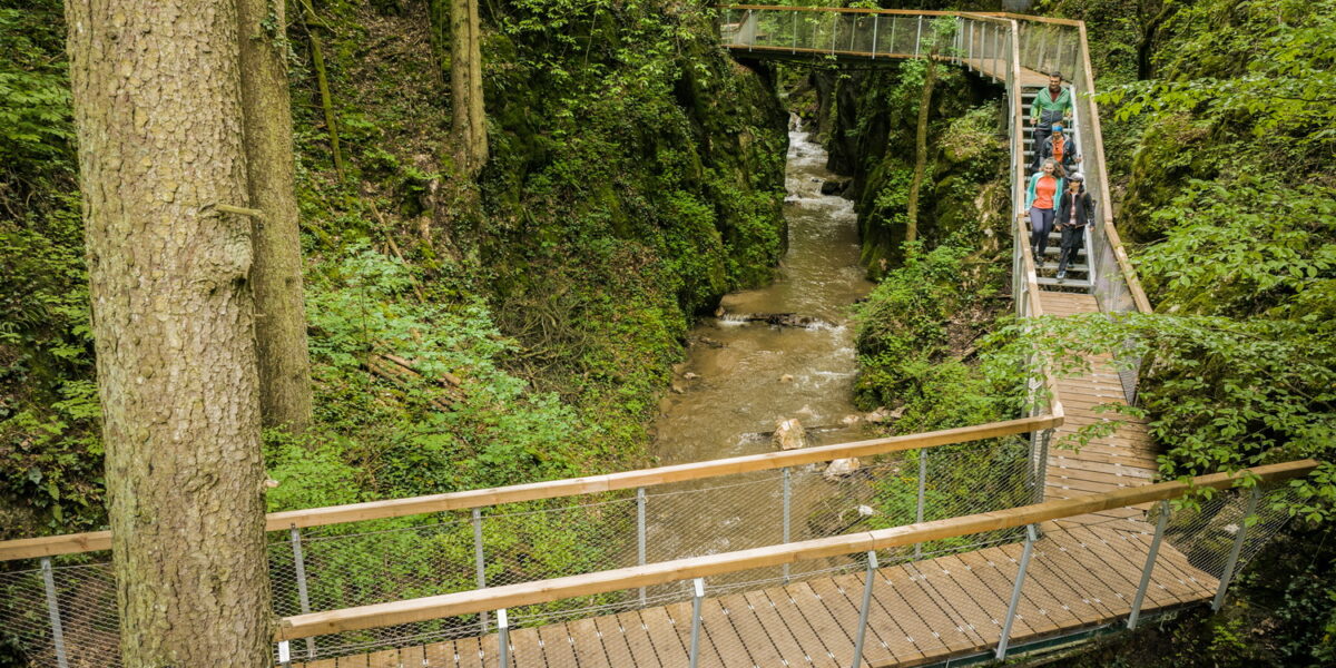 Die Menschen laufen auf erhöhten Holzstegen über einen schmalen Waldbach, umgeben von üppig grünen Bäumen und Pflanzen.