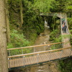 Die Menschen laufen auf erhöhten Holzstegen über einen schmalen Waldbach, umgeben von üppig grünen Bäumen und Pflanzen.
