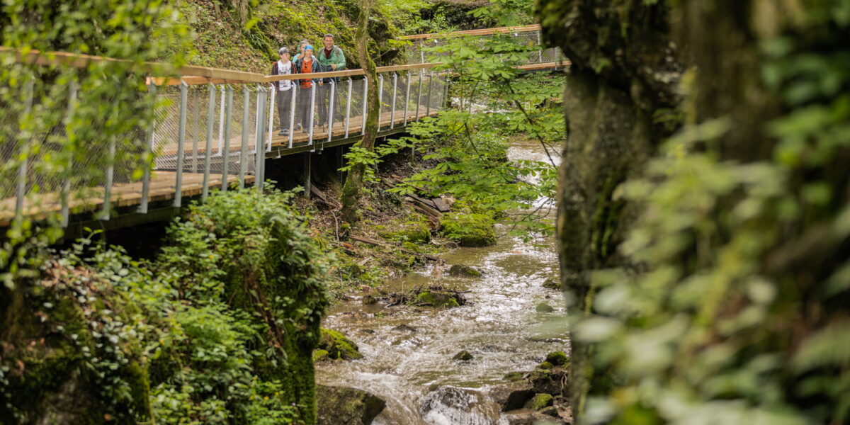Eine Gruppe von Menschen geht auf einer erhöhten Promenade durch einen üppigen Wald oberhalb eines felsigen Baches.