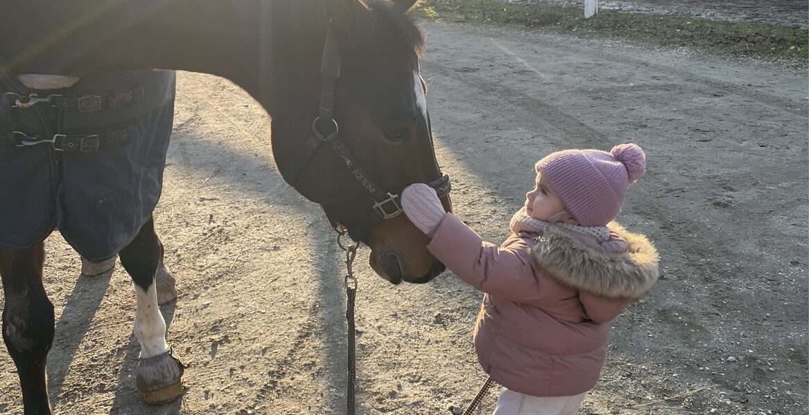 Ein kleines Kind in einem rosa Mantel und mit Hut streichelt sanft das Gesicht eines dunklen Pferdes, während es auf einem Feldweg in der Nähe einer eingezäunten Weide steht.