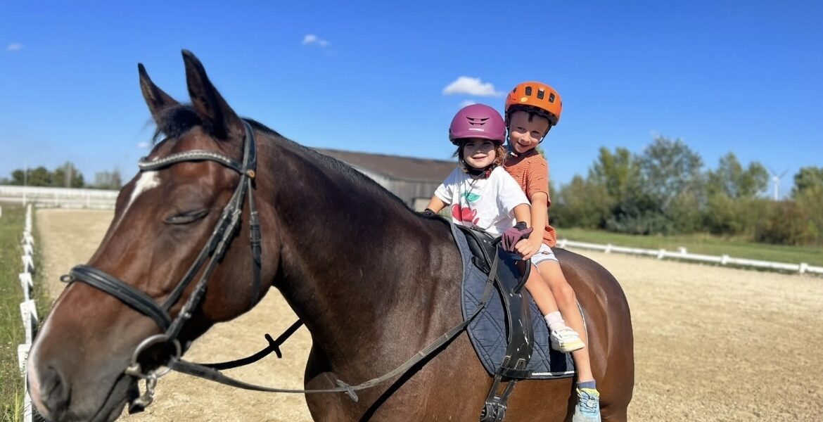Zwei Kinder mit Helmen sitzen an einem sonnigen Tag auf einem braunen Pferd auf einem Reitplatz.
