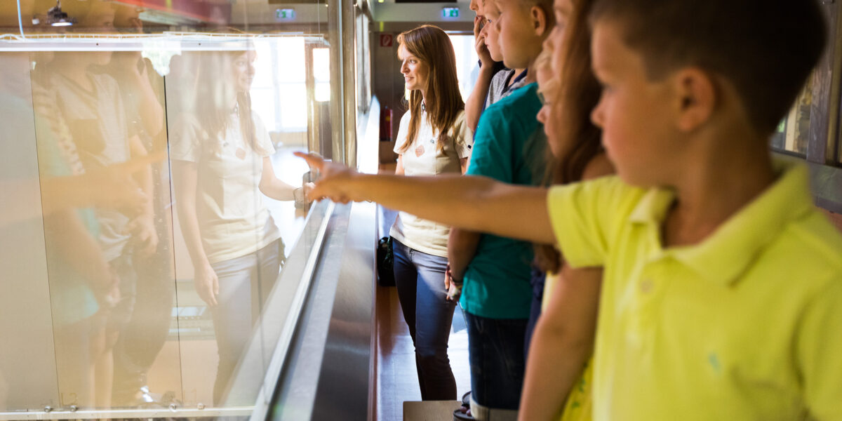 Eine Gruppe von Kindern steht in einer Reihe und schaut durch eine Glasvitrine, während eine Frau, möglicherweise eine Führerin oder Lehrerin, in der Nähe in einem gut beleuchteten Innenraum steht.