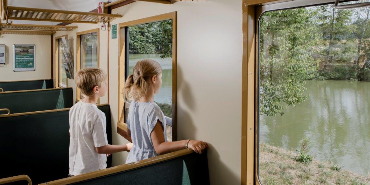 Zwei Kinder sitzen in einem Zugabteil und blicken aus dem Fenster auf einen Fluss und die Bäume, die draußen am Tag stehen.