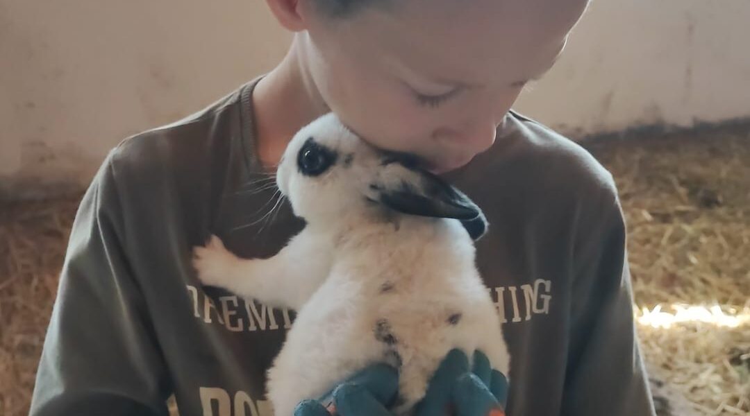 Ein Kind mit Handschuhen hält und küsst ein weißes Kaninchen mit schwarzen Flecken in einem Raum mit Stroh auf dem Boden.