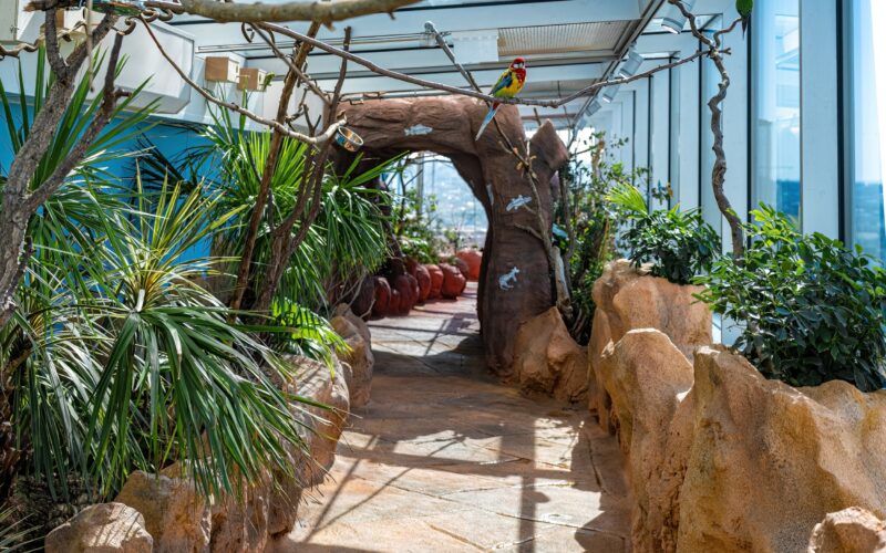 Ein Spazierweg mit künstlichen Steinen und Pflanzen, ein steinerner Torbogen und Modellpapageien und -echsen unter einem Glasdach in einem hell erleuchteten Innenraum.