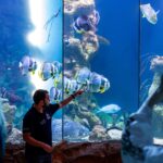 Ein Mann zeigt auf Fische in einem großen Aquarium, während die Besucher durch die Glasscheibe zusehen und Fotos machen.