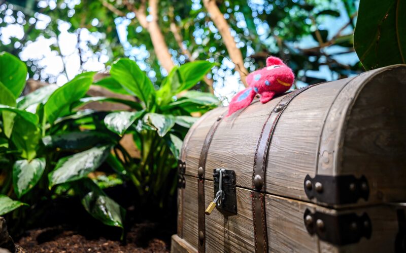 Zwischen grünen Pflanzen steht eine hölzerne Schatztruhe mit Metallschloss, auf der sich ein kleines rosa-rotes Plüschtier befindet.