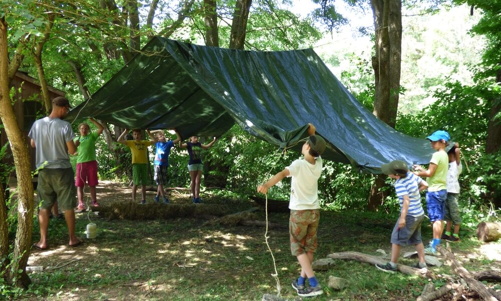 Eine Gruppe von Kindern und ein Erwachsener bauen an einem sonnigen Tag in einem Waldgebiet eine große grüne Plane als Unterschlupf auf.
