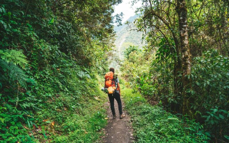 Eine Person mit einem orangefarbenen Rucksack geht einen schmalen, unbefestigten Weg entlang, der von dichtem grünen Laub in einem Waldgebiet umgeben ist.