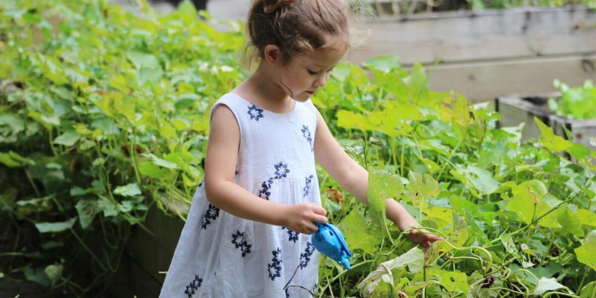 Ein junges Mädchen in einem weißen Kleid mit blauen Blumen kümmert sich mit einer kleinen blauen Gießkanne in der Hand um grüne Pflanzen in einem Hochbeet.