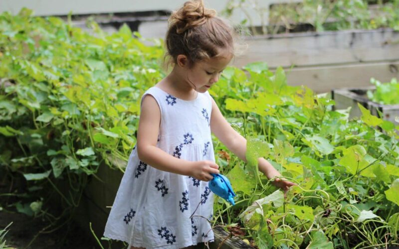Ein junges Mädchen in einem weißen Kleid mit blauen Blumen kümmert sich mit einer kleinen blauen Gießkanne in der Hand um grüne Pflanzen in einem Hochbeet.