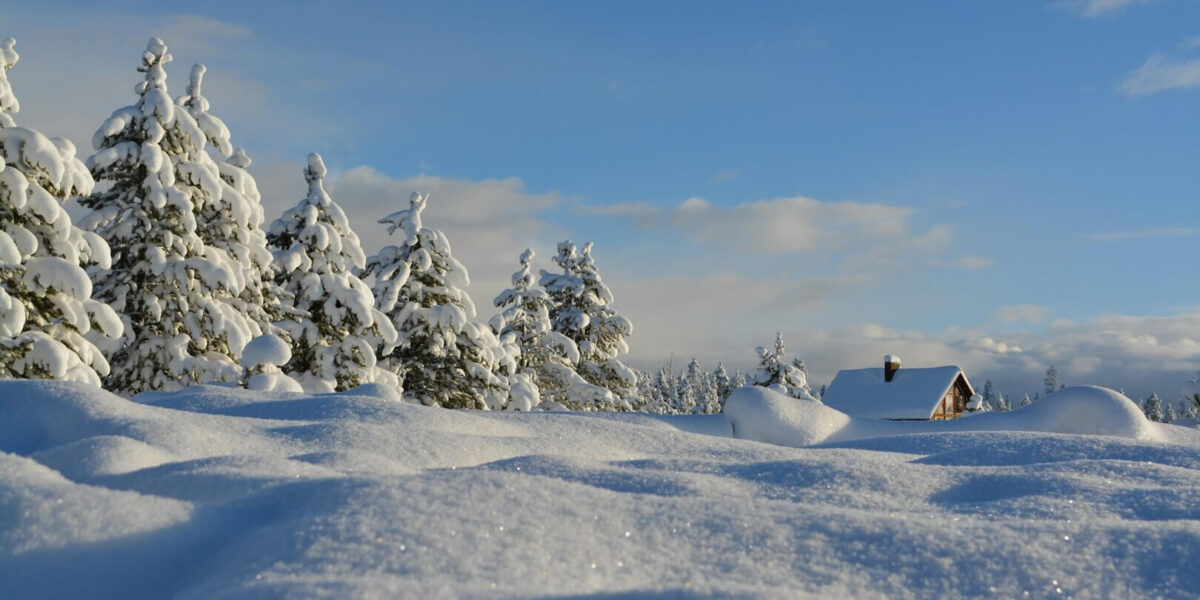 Schneebedeckte Bäume und ein Haus unter einem klaren blauen Himmel in einer Winterlandschaft.