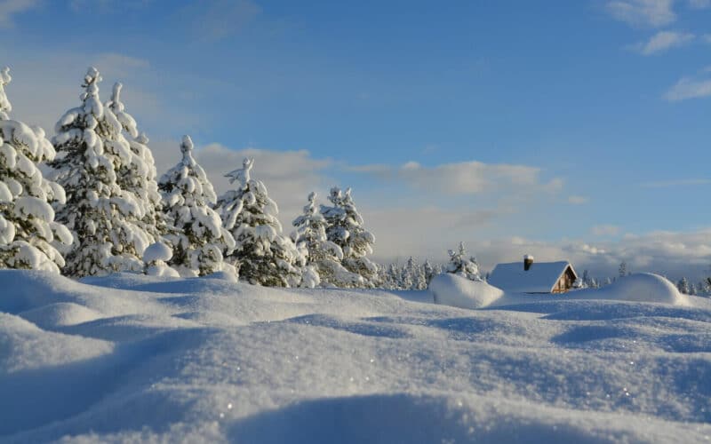 Schneebedeckte Bäume und ein Haus unter einem klaren blauen Himmel in einer Winterlandschaft.
