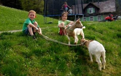 Zwei Kinder sitzen auf einem grasbewachsenen Hügel und halten Seile, die an zwei junge Ziegen gebunden sind. Im Hintergrund sind ein Haus und Menschen auf einem Trampolin zu sehen.