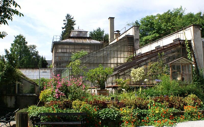Ein Gewächshauskomplex mit gläsernen Strukturen, umgeben von üppigen grünen Pflanzen, Blumen und einer Bank in einer Gartenanlage unter einem teilweise bewölkten Himmel.