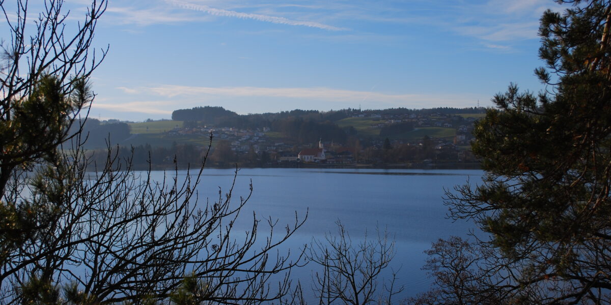 Ein ruhiger See mit kahlen Bäumen im Vordergrund, einer kleinen Stadt und Hügeln im Hintergrund unter einem blauen Himmel mit leichten Wolken.