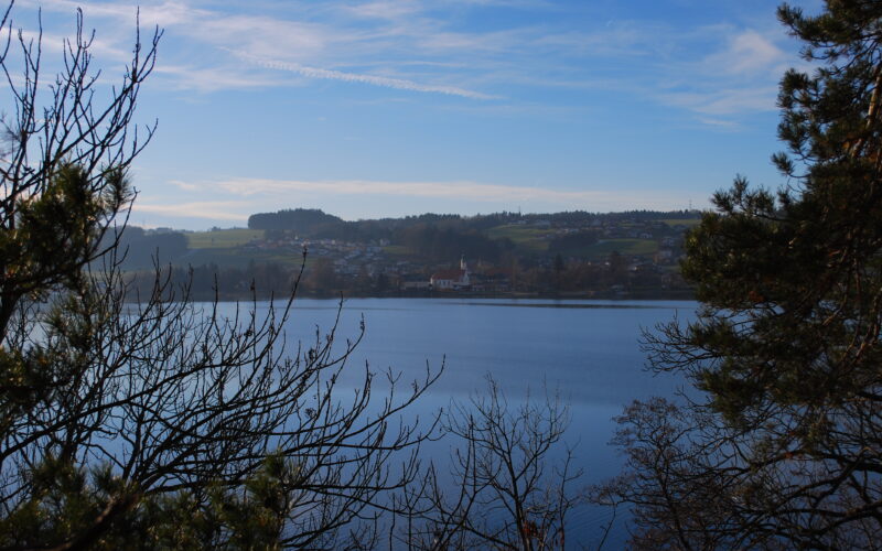 Ein ruhiger See mit kahlen Bäumen im Vordergrund, einer kleinen Stadt und Hügeln im Hintergrund unter einem blauen Himmel mit leichten Wolken.