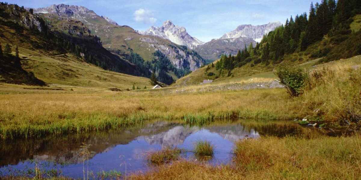 Berglandschaft mit grasbewachsenem Tal, kleinem Teich, in dem sich der Himmel spiegelt, verstreuten Bäumen und felsigen Gipfeln im Hintergrund unter einem klaren blauen Himmel.